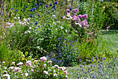 Summer perennial garden