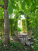 Idyllischer Sitzplatz unter Walnussbäumen vor Hainbuchenhecke im Garten