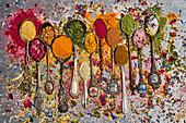 Collection of spoons with herbs and spices on dried flowers
