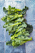 Freshness organic vegetable Hybrid of broccoli and curly leaf kale