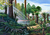 Jurassic flora, illustration