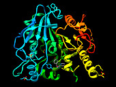 Notum carboxylesterase, illustration