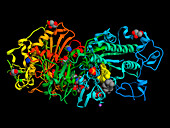 Autotaxin and tetrahydrocannabinol, illustration