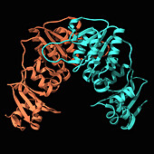RNA methyltransferase ysgA, illustration