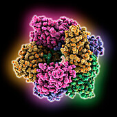 BcsD subunit of type 1 bacterial cellulose, illustration