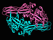 Bacillus thuringiensis toxin Tpp80Aa1, illustration