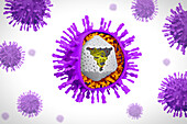 Varicella zoster virus particles, illustration