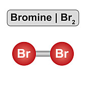 Bromine molecule, illustration