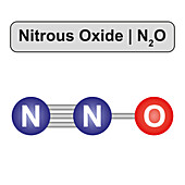 Nitrous oxide molecule, illustration