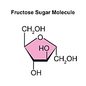 Fructose sugar molecule, illustration