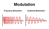Frequency and amplitude modulation, illustration