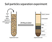 Soil separation experiment, illustration