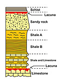 Stratigraphic column, illustration