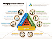 Fire regime conditions, illustration