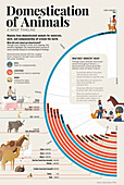 Domestication of animals, illustration