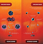 Nuclear fission vs fusion, illustration