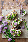 Toasted bread with cream cheese, avocado and chive blossoms