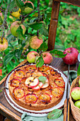 Upside Down Apple Cake