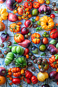 Colourful tomato variety