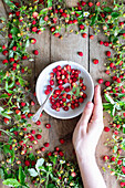 Frische Walderdbeeren in Rahmen aus Beeren, Blüten und Blättern