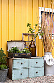 Suitcase with plants, magnum bottle with branches on an old chest of drawers, next to it bamboo canes in a milk jug