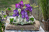 Violette Gladiolenblüten und Jungfer im Grünen in Glasvasen auf Tablett