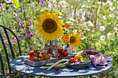 Frisch geerntete Tomaten und Sonnenblumenblüten in Glasvasen auf Gartentisch