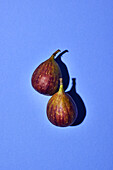 Figs on a blue background
