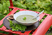 Goutweed soup with wholemeal crackers