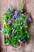 Garden herbs with flowers