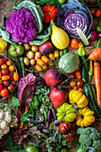 Colourful vegetable still life