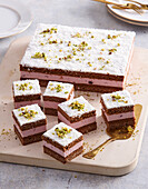 Cocoa kefir cake slices with a layer of frozen fruit cream