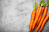 Fresh organic carrots with greens