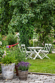 Seating area with a table under an old pear tree