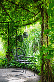 Metal chair under a green canopy of leaves