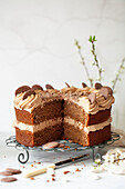 Chocolate sponge cake with chocolate buttercream and chocolate discs
