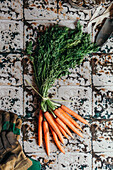 Fresh bunched carrots