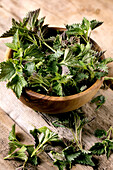 Heap of fresh young organic nettle leaves