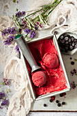 Sorbet aus schwarzen Johannisbeeren