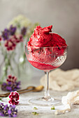 Sorbet aus schwarzen Johannisbeeren