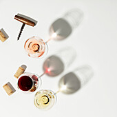 Wine composition with sunlight and shadows on a white background