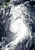 Typhoon Jongdari nearing coast of Japan, satellite image