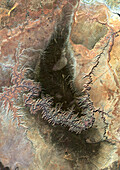 Grand Canyon, Arizona, USA, satellite image