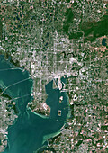 Tampa, Florida, USA, satellite image