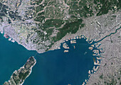 Kobe and Osaka, Japan, satellite image