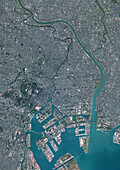 Tokyo, Japan, satellite image