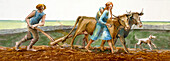 Ploughing, Iron Age, illustration