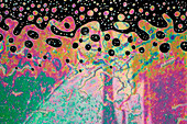Phase transition in liquid crystal, light micrograph