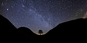 Night sky over Sycamore Gap, Northumberland National Park, UK