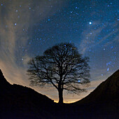 Night sky over Sycamore Gap, Northumberland National Park, UK